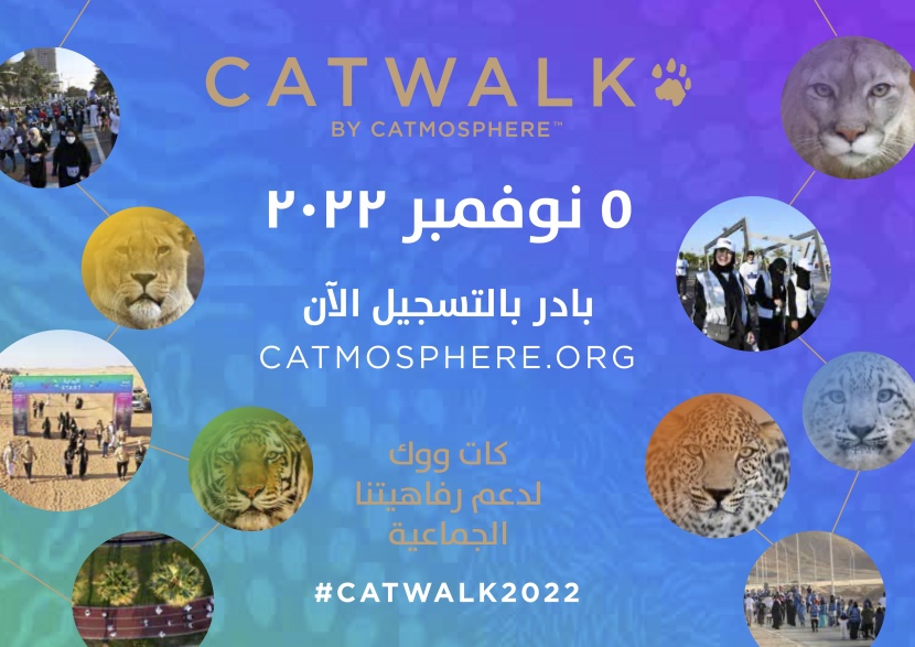 إطلاق "كات ووك" غدا .. المحافظة على القطط البرية السبعة