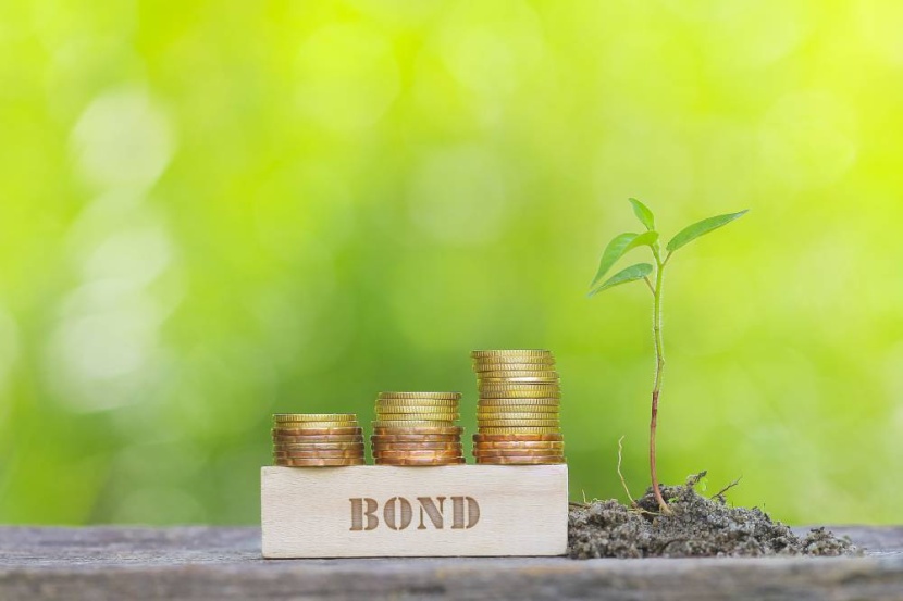 السندات الخضراء .. مليارات الدولارات في مهمة إنقاذ الكوكب