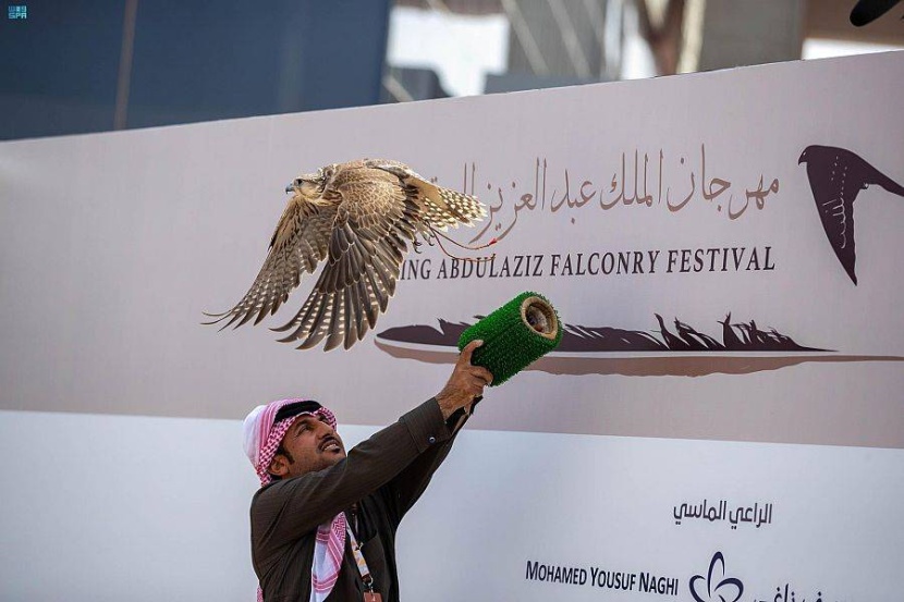 مهرجان الملك عبدالعزيز للصقور .. كؤوس المؤسس بـ 7 أشواط تنافسية
