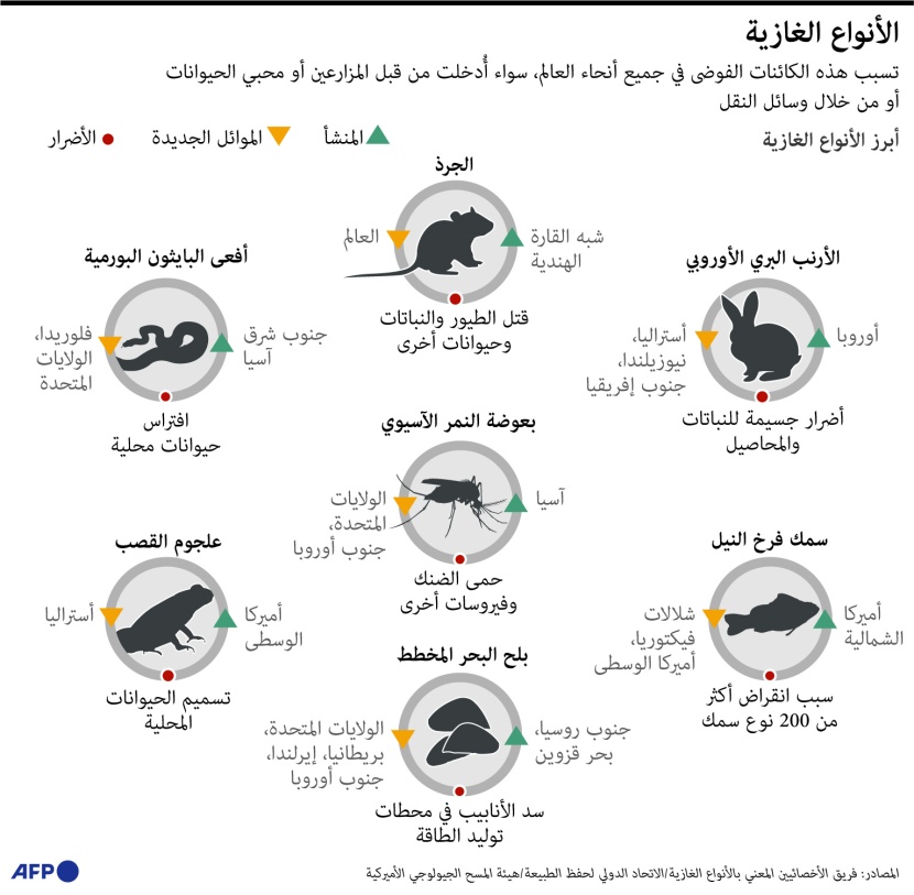  7 حيوانات غازية تحدث فوضى بيئية