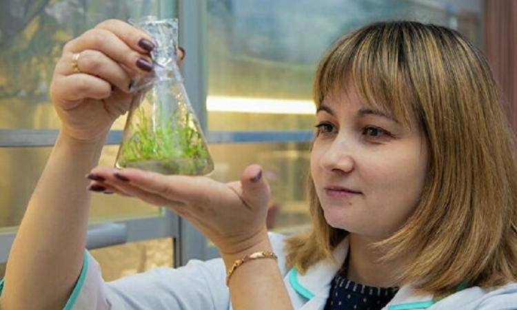 طريقة غير مكلفة لزراعة الخضراوات طوال العام