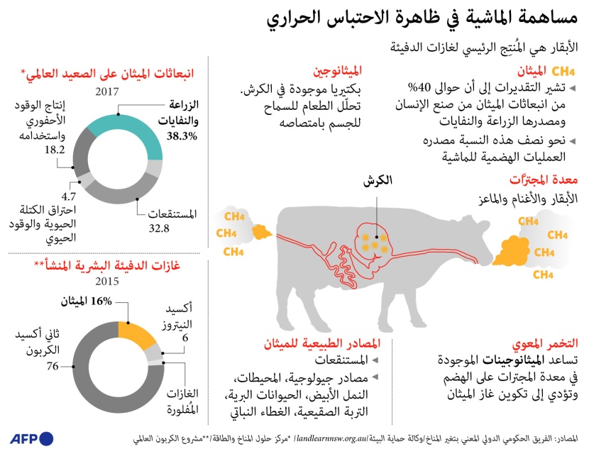  كيف تسهم الماشية في ظاهرة الاحتباس الحراري؟