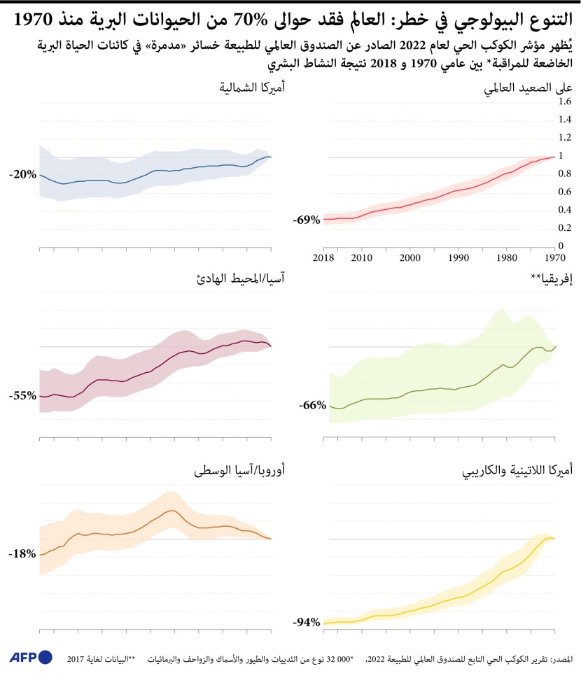  التنوع البيولوجي في خطر .. فقدان 70% من الحيوانات البرية خلال الـ 50 عاما الماضية