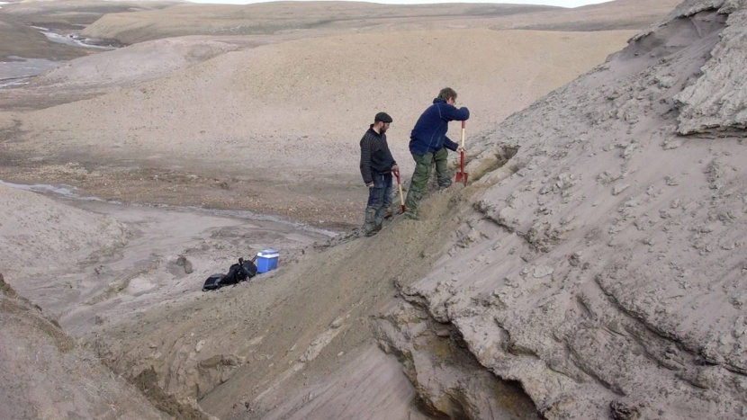 جرينلاند .. اكتشاف أقدم حمض نووي يعود إلى مليوني عام
