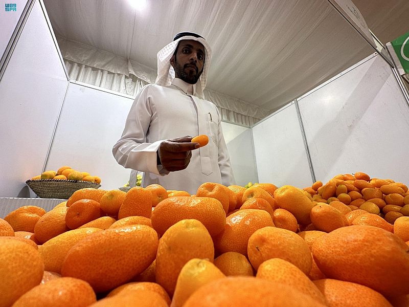 حمضيات نجران .. رافدا اقتصاديا وقيمة غذائية مهمة