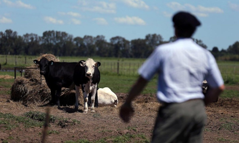 شركة دانون الفرنسية تعتزم خفض انبعاثات غاز الميثان