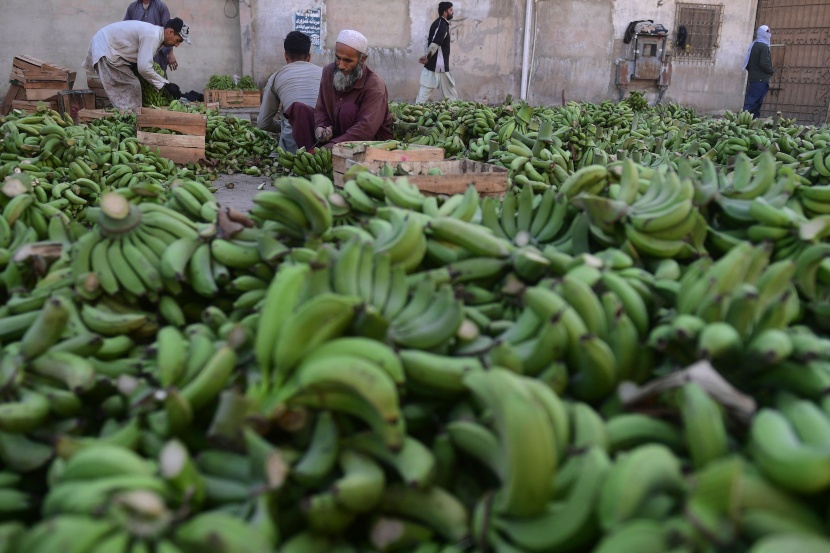 باكستاني يبيع الموز بسوق الخضار والفواكه في كراتشي، وارتفع معدل تضخم المواد الغذائية 35.5 % في البلاد