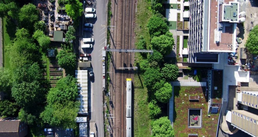 لندن .. خط سكة حديد يتحول إلى حديقة في السماء