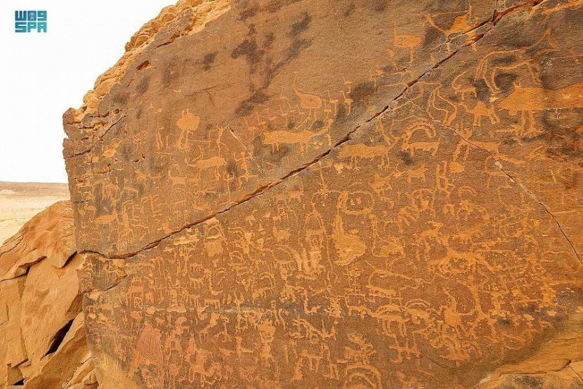 اكتشاف رسوم ونقوش صخرية في الجزيرة العربية