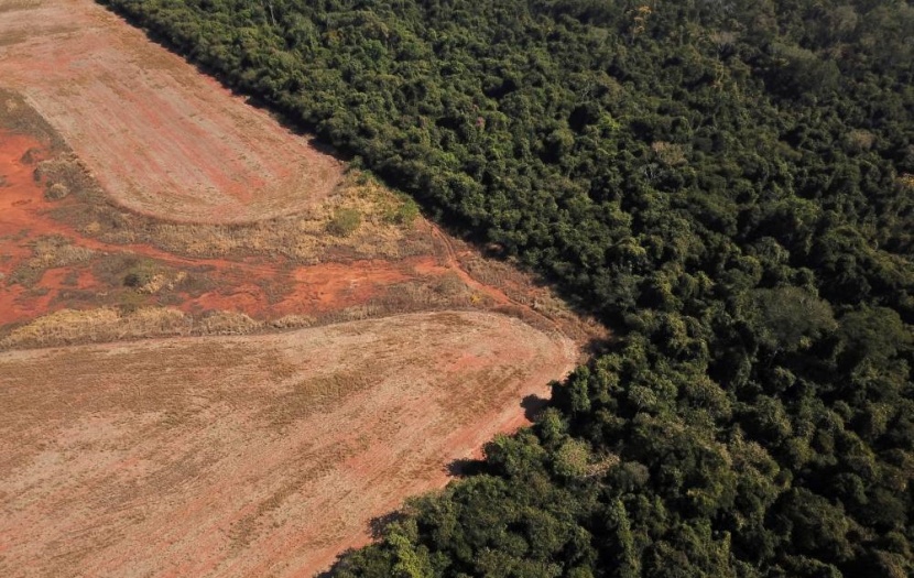 دراسة: الأنشطة البشرية تدمر غابة الأمازون