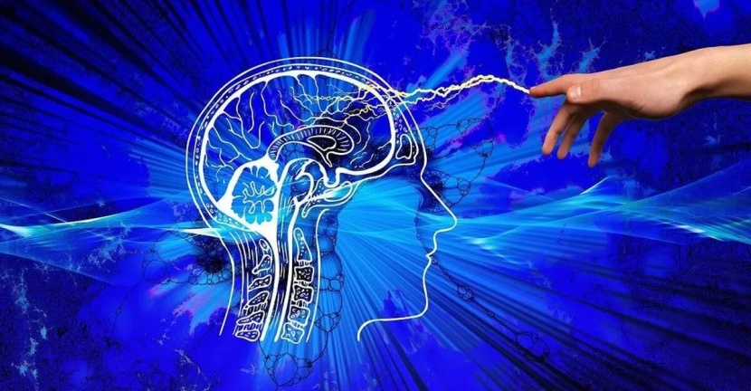 شريحة دماغية تجعلك تتصفح وسائل التواصل بعقلك