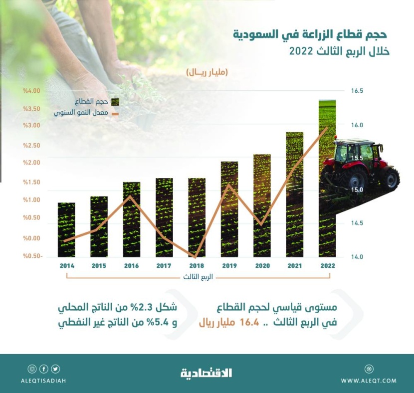 سعيا لتحقيق الاكتفاء الذاتي .. الناتج الزراعي السعودي يسجل مستوى قياسيا في الربع الثالث
