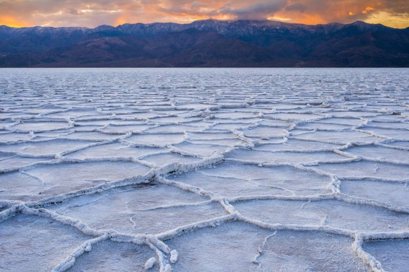 «قرص العسل» .. لغز غامض في الصحاري الملحية تمكن العلماء من حله