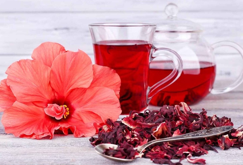 «خبراء»: الكركديه الأحمر يحارب تكون الخلايا الدهنية في الجسم