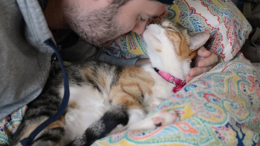 اقتناء حيوانات أليفة في المنزل يسبب الأرق