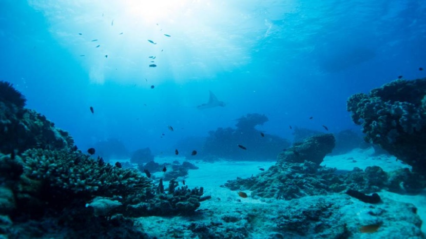 «The Blob» .. موجة حارة بحرية قبالة سواحل ألاسكا