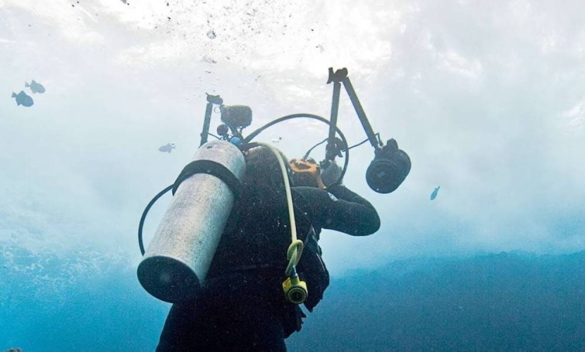 العلماء يبحثون علاجا ثوريا للسرطان تحت الماء