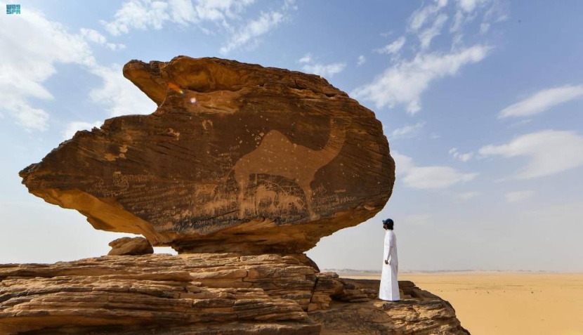 تشهد حملة "هذه نجران" التي أطلقها الأمير جلوي بن عبدالعزيز أمير المنطقة تفاعلا كبيرا حيث تهدف إلى التعريف بما تتمتع به نجران من مواقع سياحية وأثرية وتاريخية، وموروث شعبي وصناعات حرفية. "واس" هذه نجران