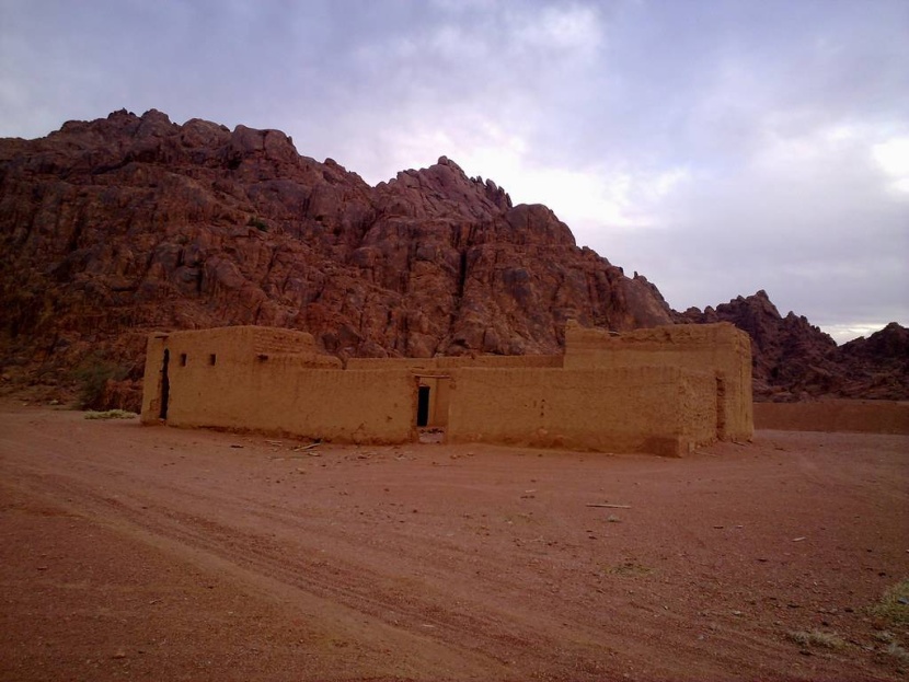 «في ضيافة الطائي» .. مهرجان احتفائي برمزيته في عالم الشعر العربي