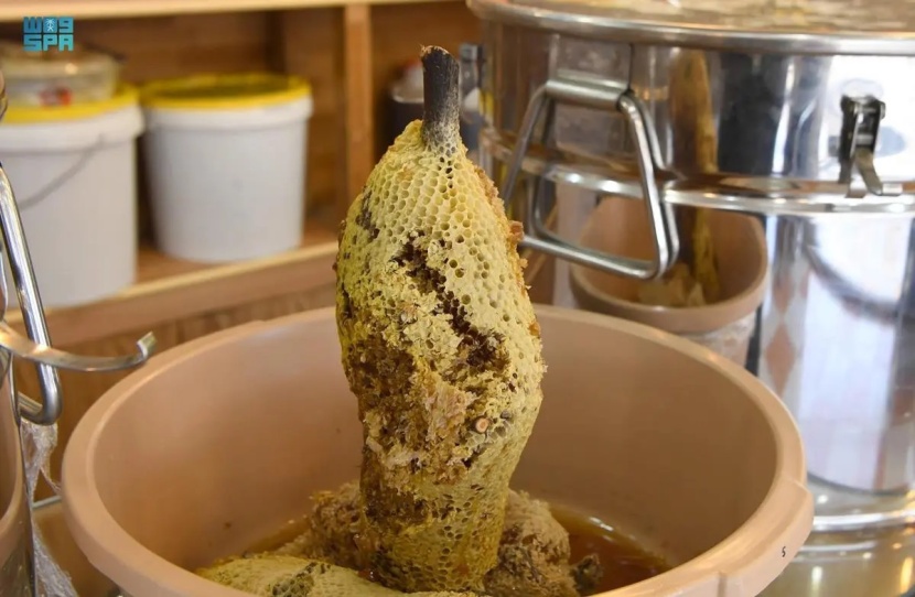 عسل السدر .. مذاق عالمي بنكهة سعودية