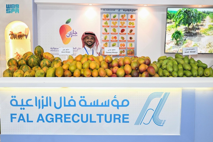 مهرجان المانجو والفواكه الأستوائية في صبيا