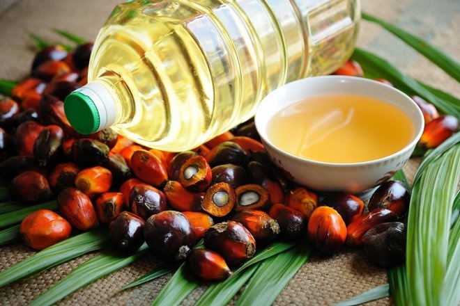 تراجع إنتاج زيت النخيل وسط ضعف الطلب على التصدير