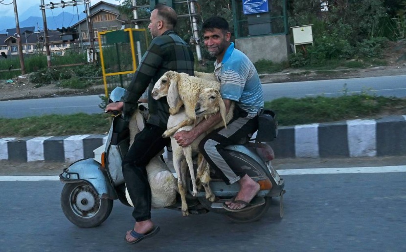 عيد الأضحى في صور