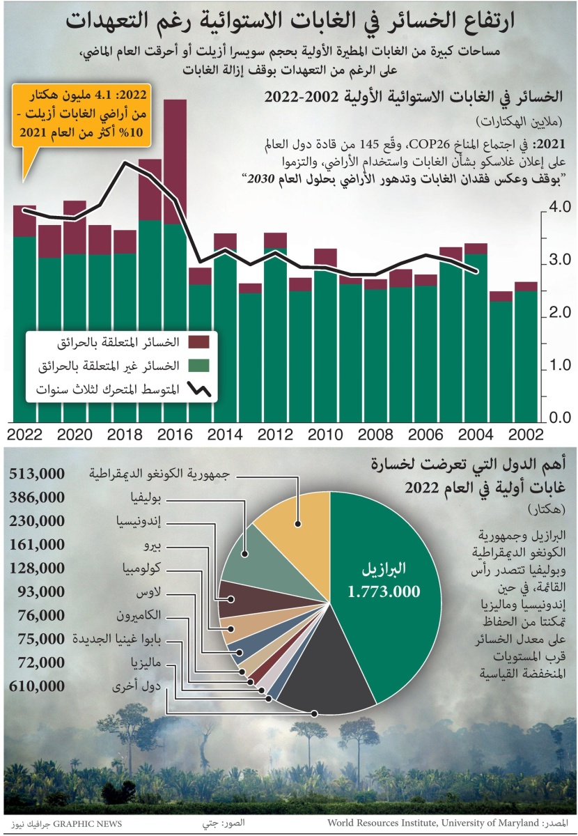 ارتفاع الخسائر في الغابات الاستوائية رغم التعهدات