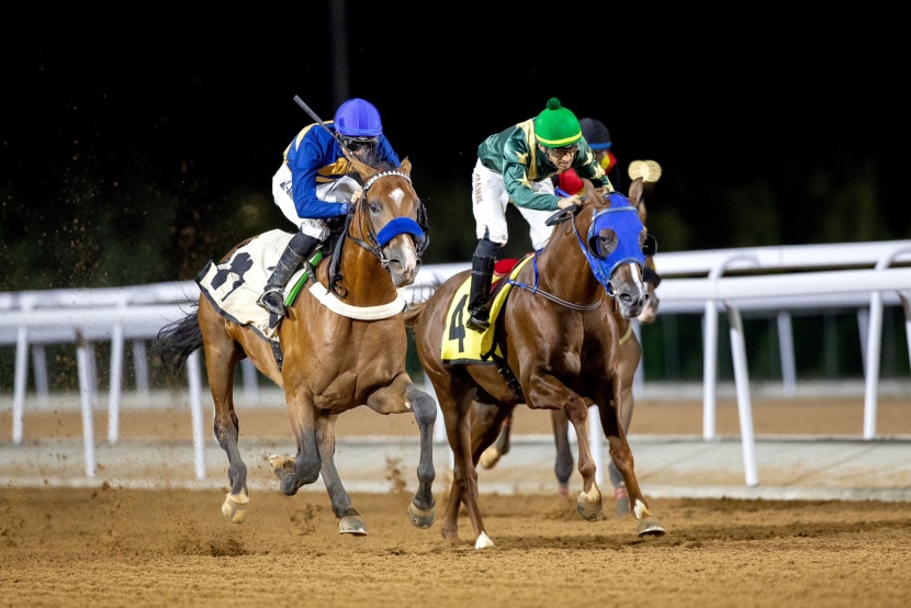 الفرس "نافذة" تتوج بكأس مهرجان الورد الطائفي