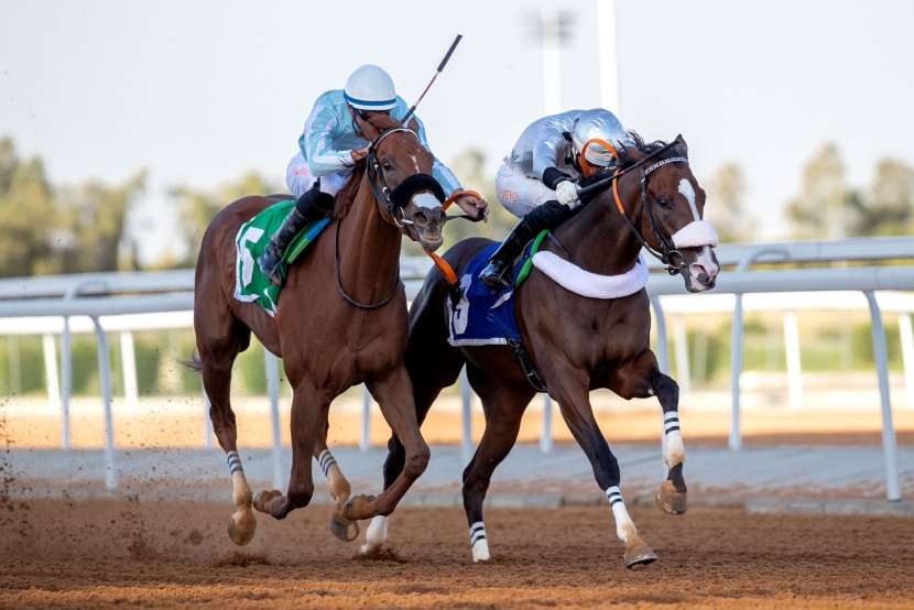 الفرس "نافذة" تتوج بكأس مهرجان الورد الطائفي