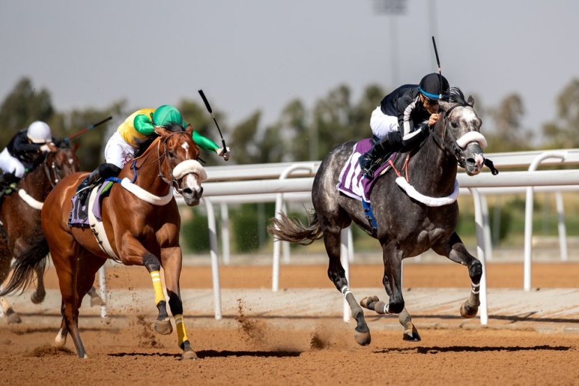 الفرس "نافذة" تتوج بكأس مهرجان الورد الطائفي