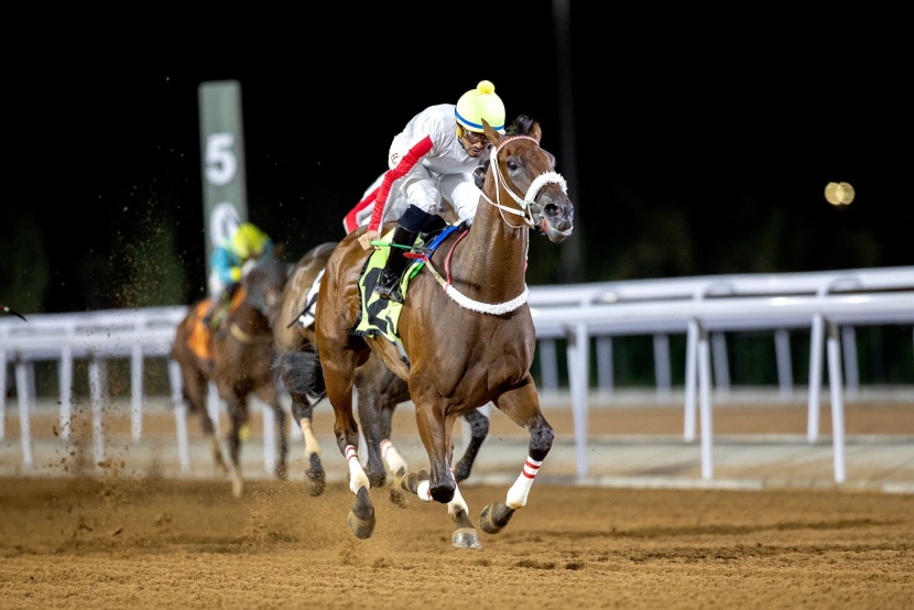 الفرس "نافذة" تتوج بكأس مهرجان الورد الطائفي