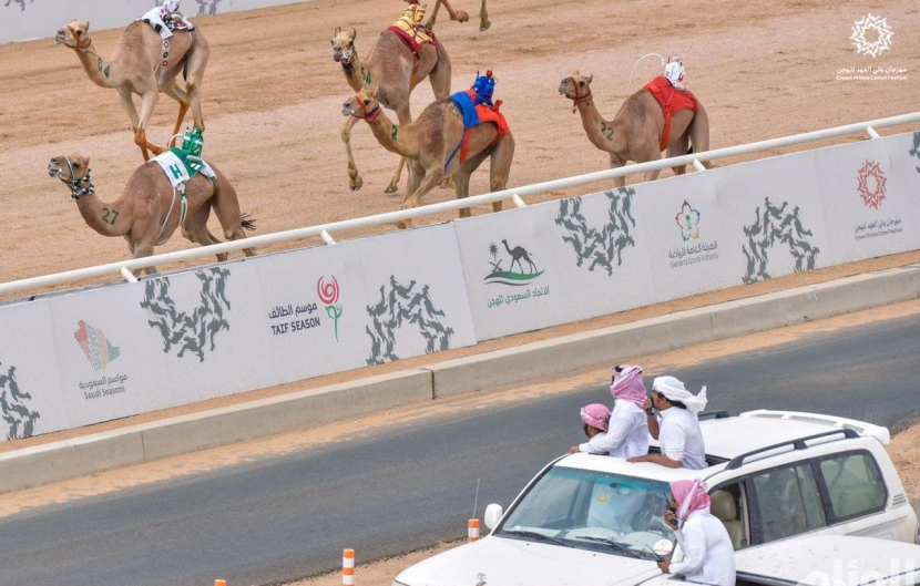 اكتمال جاهزية ميدان الطائف لاستقبال منافسات مهرجان ولي العهد للهجن