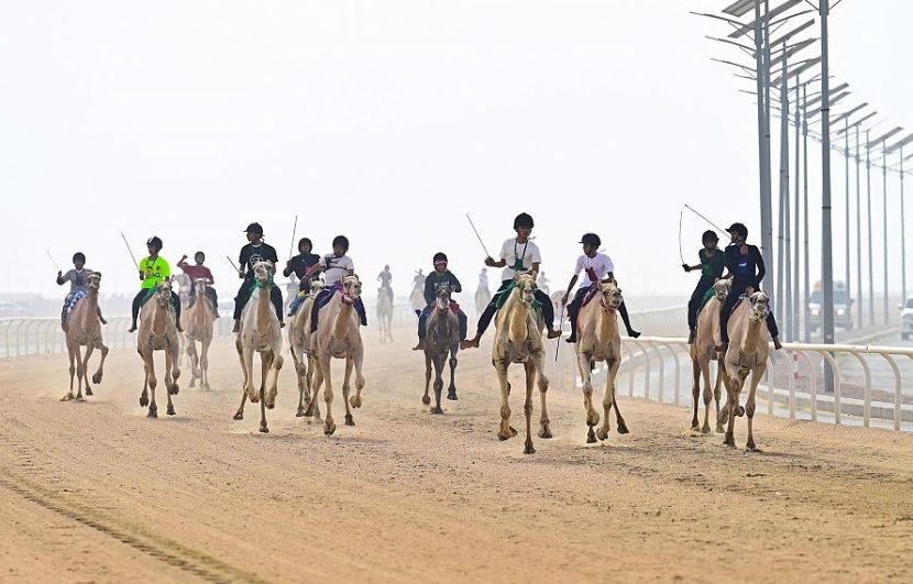 بجوائز تصل إلى 155 ألف ريال .. استحداث ماراثون للنساء في مهرجان ولي العهد للهجن