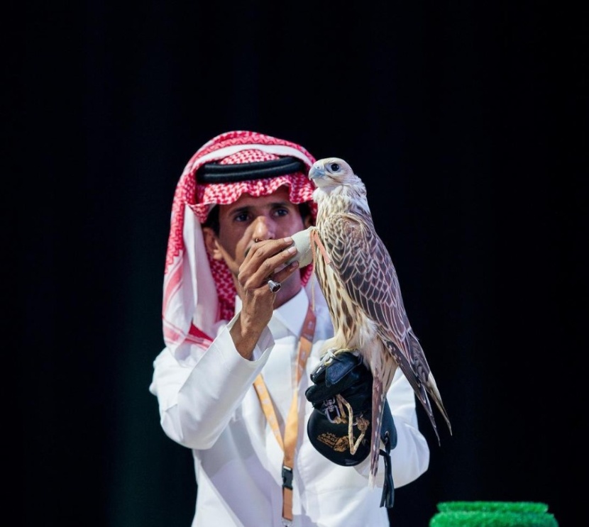 بيع أغلى صقر حر في الشرق الأوسط بنصف مليون ريال 