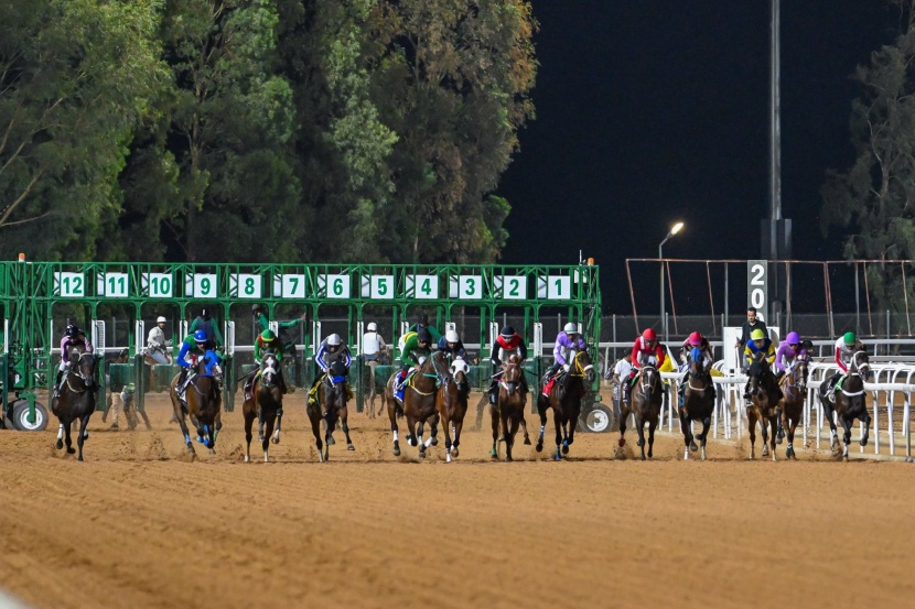 السبت.. انطلاق مهرجان كأس الملك فيصل لسباقات الخيل 
