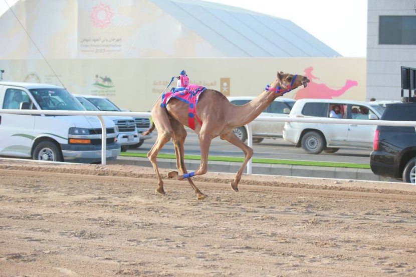 الزلزال: دفعت 11 مليون ريال من أجل الرموز