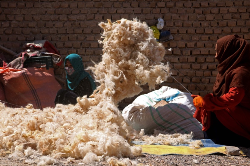 أفغانيات يغزلن الصوف في مصنع تقليدي في محافظة هرات 