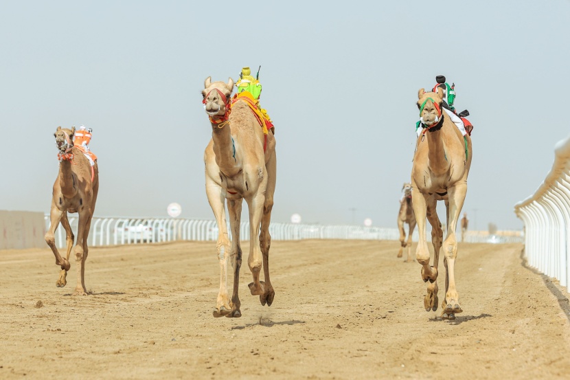 رموز الـ "لقايا" ..  سعودي وبحريني وقطري وعماني
