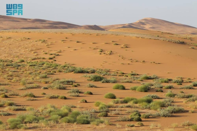 محمية «عروق بني معارض» على قائمة اليونسكو .. أول موقع تراث عالمي طبيعي سعودي