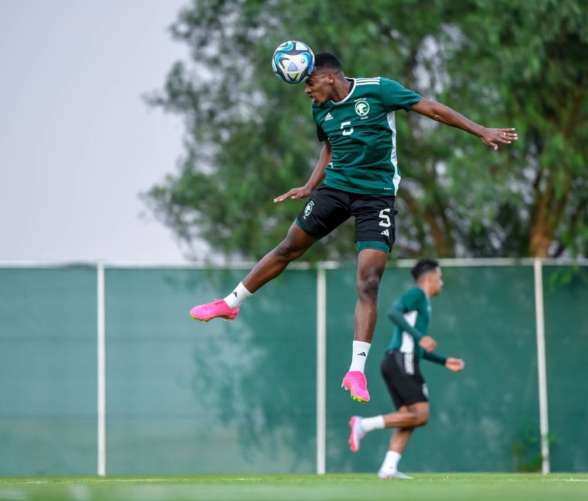 مناورة مصغرة