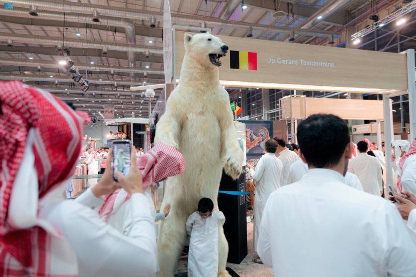 في معرض الصقور والصيد السعودي .. دب قطبي ونمور