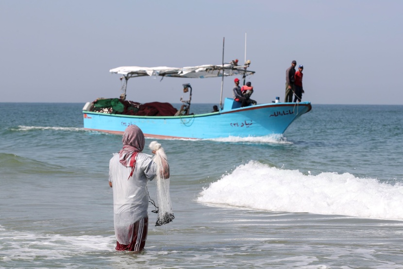 62 ألف طن سنويا الإنتاج السمكي لميناء العريش