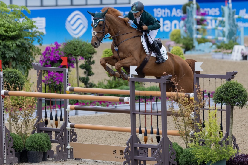 ميدالية ذهبية للمنتخب السعودي للفروسية