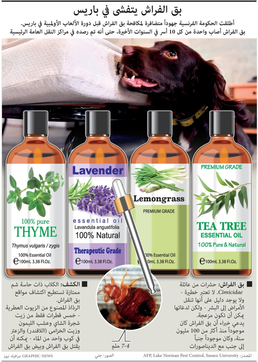 بق الفراش يغزو فرنسا