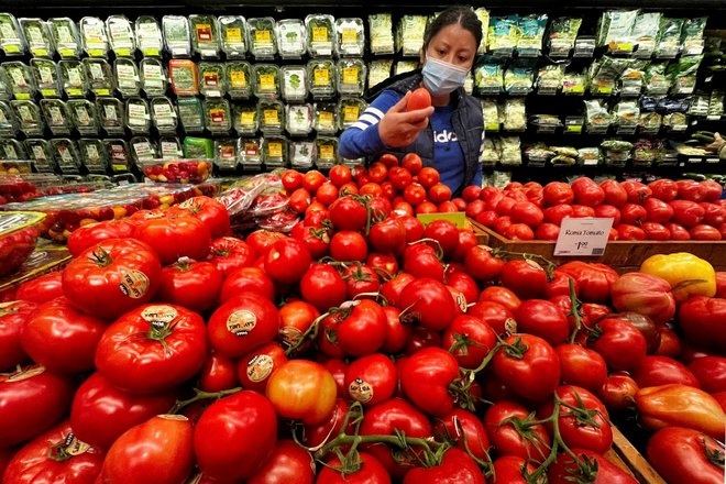 استقرار مؤشر أسعار الغذاء العالمية في سبتمبر 