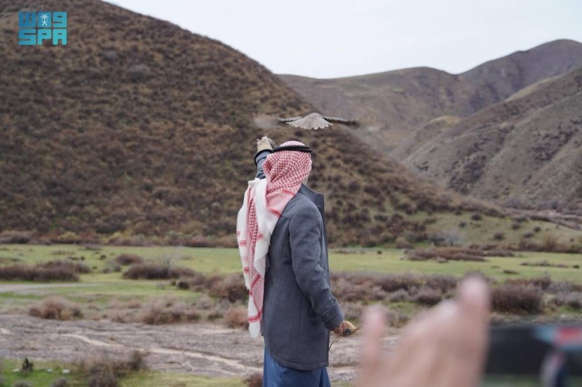 نادي الصقور السعودي ينفذ المرحلة الأولى للإطلاق الخارجي في قرغيزستان