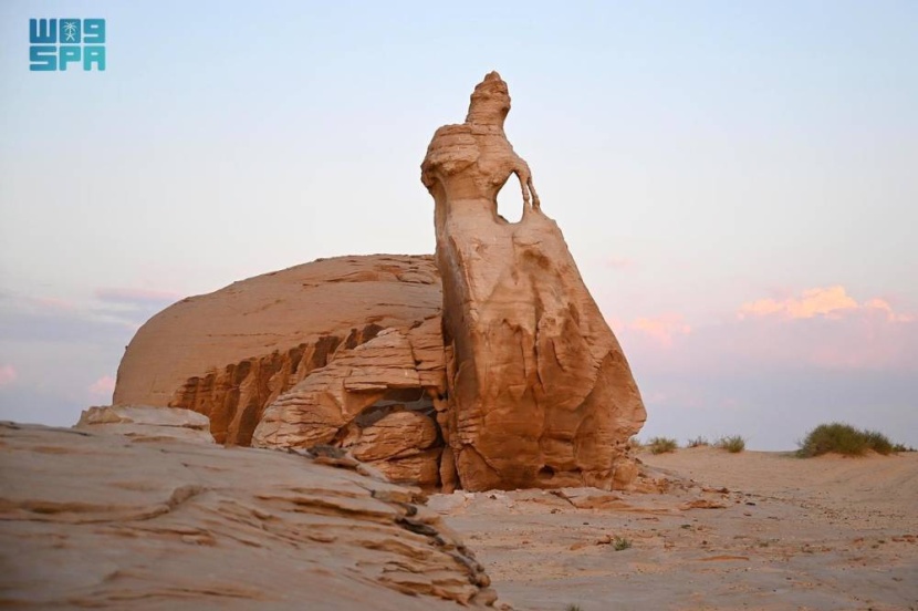 عروس العلا