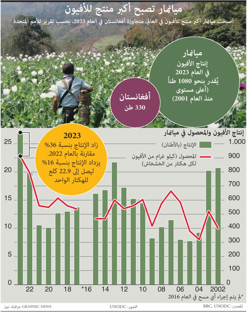 ميانمار تتجاوز أفغانستان وتصبح أكبر منتج للأفيون في العالم