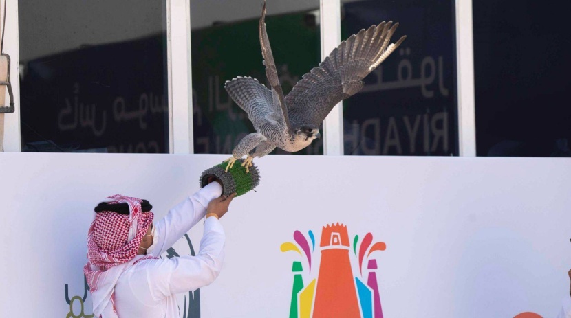 اليوم .. ختام مهرجان «الصقور» بجوائز تتخطى 33 مليون ريال